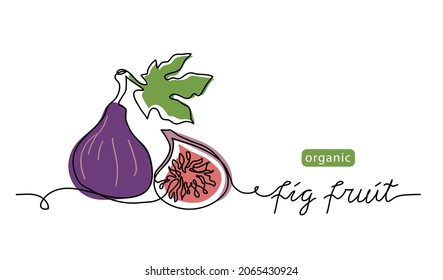 Ilustración de color vectorial de fruta púrpura, esbozo dibujado en línea para el diseño de etiquetas. Un dibujo de línea continua con leches de higo orgánico.