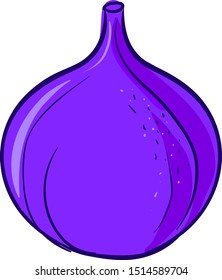 violette Feigenschaft, Illustration, Vektorgrafik auf weißem Hintergrund.