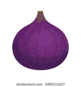 Purple fig isolated on transparent background. Tropical fruit icon for farm market. Vector illustration in flat style.