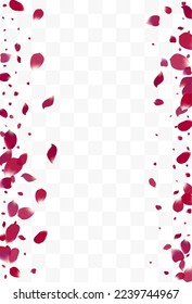Purple Floral Fly Vector Transparent Background. Falling Petal Frame. Delicate Sakura Flying Cover. Beautiful Lotus Fall Texture.