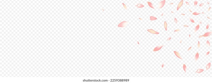 Purple Floral Vector Panoramic Transparent Background. Blossom Tender Texture. Confetti Air Congratulation. Heart Springtime Illustration. White Rose Sky Design.