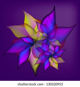 purple flower