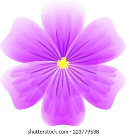 purple flower