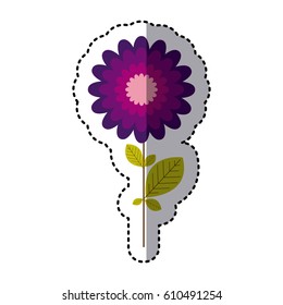 purple flower with abstract petals, vector illustraction design