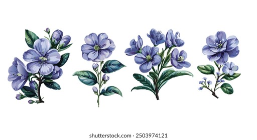 purple flower arrangement watercolor Anemone Flower Illustration Vector. Explore the delicate beauty of watercolor anemone flowers with this stunning collection of vectors.