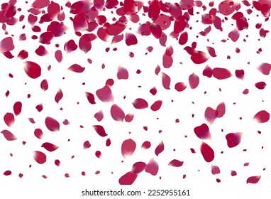 Purple Flower Blur Vector White Background. Spring Cherry Backdrop. Pink Rose Beauty Pattern. Delicate Blossom Falling Design.