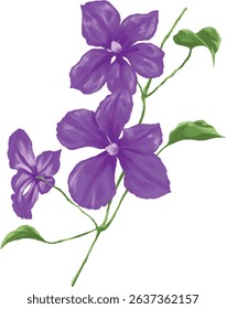 purple flower botanical painting illustration