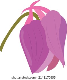 Purple flower bud. Spring. Summer. Vector.