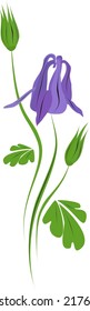 purple flower, columbine,  vector graphic, illustration