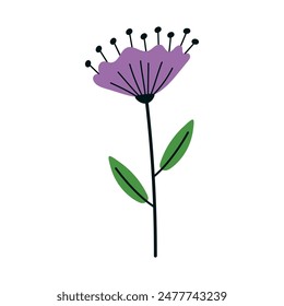 Eine lila Blume mit niedlichen Staubgefäßen, handgezeichnet im Doodle-Stil. Minimalistisches Design. Blumen-Vektorillustration für Webdesign, Einladungen, Einfügung, Logo, botanische Abbildungen