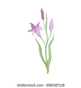 Purple Flower or Delicate Blossom on Leafy Stem Vector Illustration
