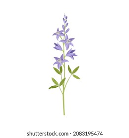 Purple Flower or Delicate Blossom on Leafy Stem Vector Illustration