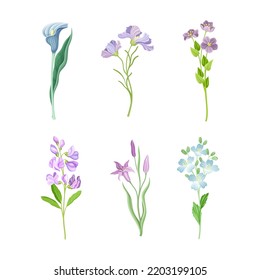 Purple Flower or Delicate Blossom on Green Leafy Stem Vector Set