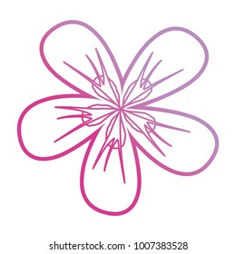 purple flower design  vector illustration