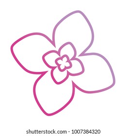 purple  flower design vector illustration