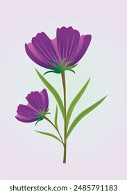 Purple flower with green leafs and a gradient background