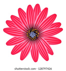 purple flower isolated on white vector illustration