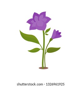Purple flower. Isolated vector illustration