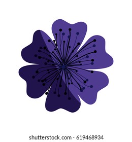 purple flower of japanese cherry tree in white background vector illustration