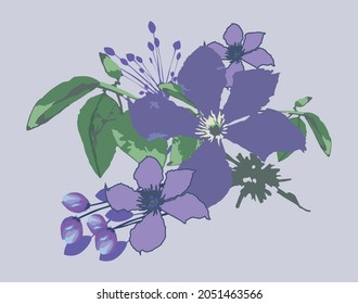 Purple flower with leaves. Young flowers and buds. Purple bloom. Flowers illustration. Flowers in vector