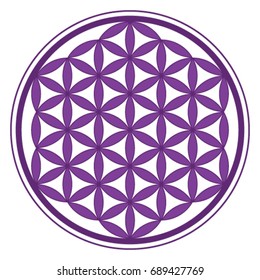 Purple Flower of Life icon vector