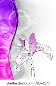 purple flower on the abstract background