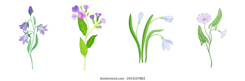 Purple Flower on Green Stem with Leaf as Meadow or Field Plant Vector Set