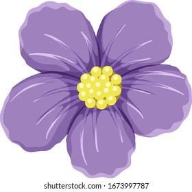 Purple flower on white background illustration
