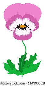 Purple flower - pansy. Simple flat vector illustration