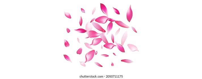 Fondo Panorámico Del Vector De Petal De Flor Púrpura. Afiche transparente de Aroma Rose Petal. Producto Lotus Petal Springtime. Tarjeta de Petal Dream Peach.