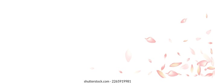 Purple Flower Petal Vector Panoramic Background. White Floral Peach Petal Banner. Rose Petal Flying Poster. Dream Apple Petal Cover.