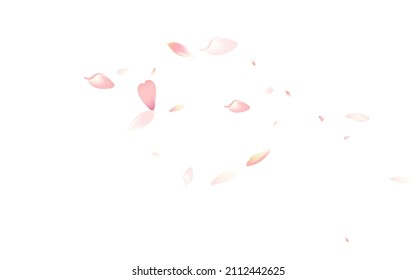 violetter floraler, violetter, weißer Hintergrund. Petal Illustration von White Spring Rose. Lotus Petal Wallpaper Design. Luftkirschenholzhintergrund.