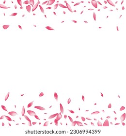 Purple Flower Petal Vector White Background. White Bright Apple Petal Cover. Peach Petal Spring Banner. Summer Lotus Petal Pattern.
