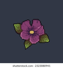purple flower in pixel art style