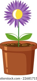 Purple flower in pot on white background illustration