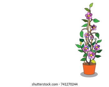  The purple flower in the pot (vector)