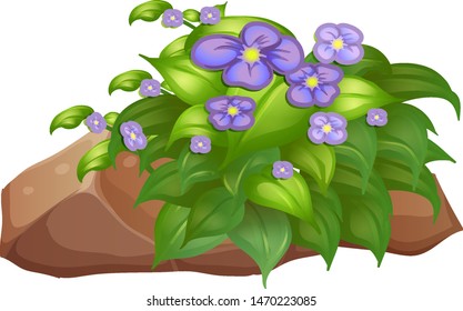 Purple flower and rock on white background illustration