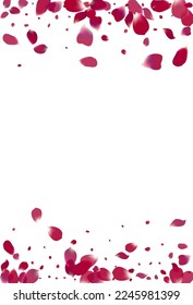 Fondo Blanco Vector De Verano De Flor Púrpura. Plantilla de cerezas de Japón. Ilustración de la mosca rosada Petal. Hermoso patrón de caída de la flor.