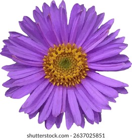 purple flower vector design graphic7