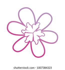 purple flower  vector illustration