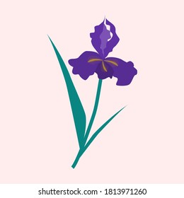 Free Free 310 Iris Flower Svg SVG PNG EPS DXF File