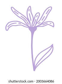 Purple flower, vector minimalistic illustration. Single flower with leaves, hand drawing. A simple botanical element for decoration.