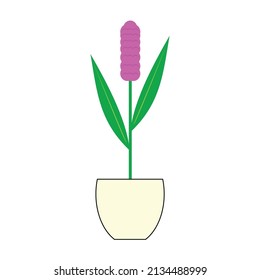 purple flower vector in pot