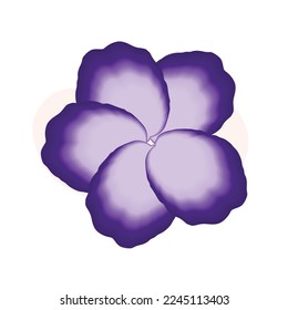 Purple flower for your decoration