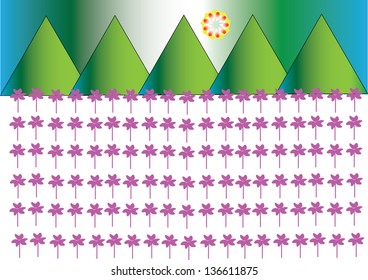 Purple flowers