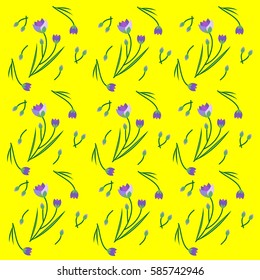 purple flowers
