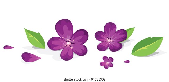 Purple flowers