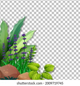 Purple flowers field on transparent background illustration