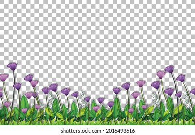 Purple flowers field on transparent background illustration