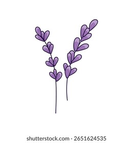 Purple flowers, flowering plant shoot, lavender, abstract flower. Hand-drawn doodle clipart